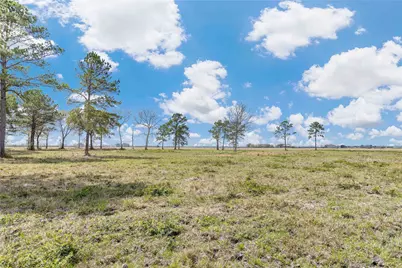 126 Acres @ Highway 61, Devers, TX 77538 - Photo 17
