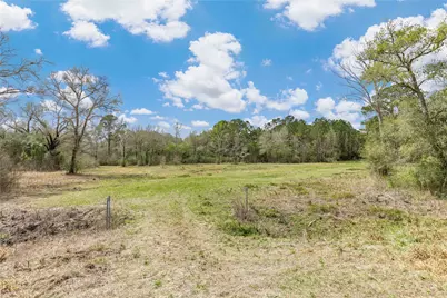 126 Acres @ Highway 61, Devers, TX 77538 - Photo 13
