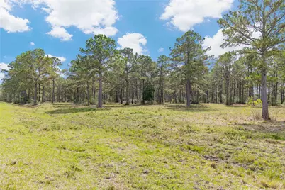 126 Acres @ Highway 61, Devers, TX 77538 - Photo 15