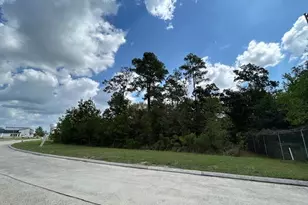 141 Kings Lake Estates Blvd, Humble, TX 77346 - Photo 1