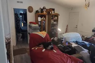 180 The Woods Rd, Coldspring, TX 77331 - Photo 11