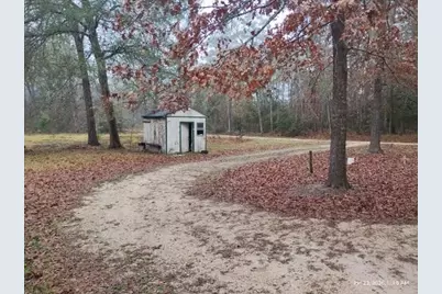 180 The Woods Road, Coldspring, TX 77331 - Photo 31