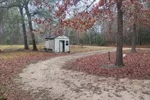 180 The Woods Rd, Coldspring, TX 77331 - Photo 31