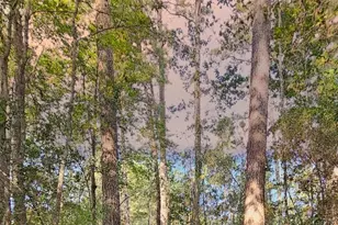 Lot 11 Gregory Ln, New Waverly, TX 77358 - Photo 1