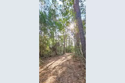 Lot 11 Gregory Lane, New Waverly, TX 77358 - Photo 5