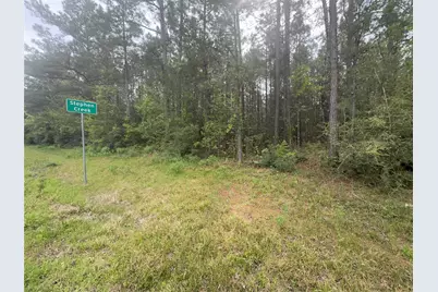 Tract 107 Hwy 156, Coldspring, TX 77331 - Photo 3