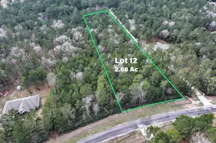 Lot 12 Chisholm Trail, Huntsville, TX 77340 - Photo 1