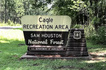 Lot 12 Chisholm Trail, Huntsville, TX 77340 - Photo 23