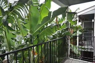 3754 Tanglewilde St, Houston, TX 77063 - Photo 3
