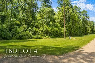 Tbd Mistletoe, Onalaska, TX 77360 - Photo 1