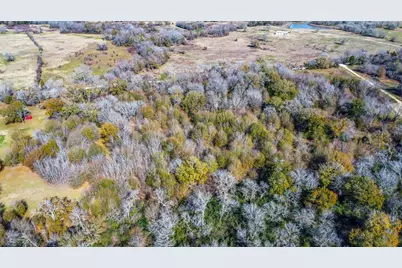 Tbd Bundic Road, North Zulch, TX 77872 - Photo 13