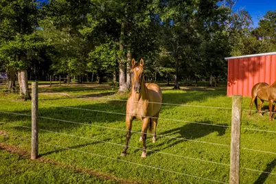 1109 Soda Loop E, Livingston, TX 77351 - Photo 49