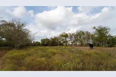4646 Fm 2679 Road, Burton, TX 77835 - Photo 23