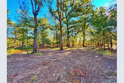 Tbd Cr 155, Centerville, TX 75833 - Photo 21