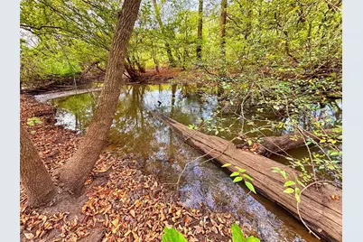 Tbd Cr 155, Centerville, TX 75833 - Photo 9