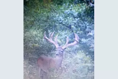 Tbd Cr 155, Centerville, TX 75833 - Photo 45