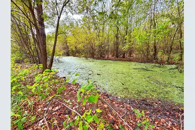 Tbd Cr 155, Centerville, TX 75833 - Photo 7