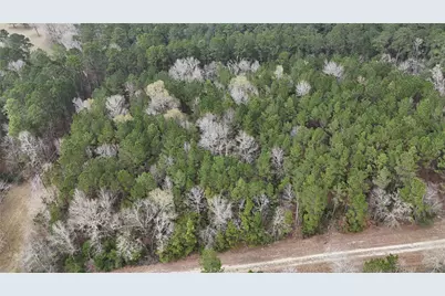 Tbd Baxter Road, Livingston, TX 77351 - Photo 11