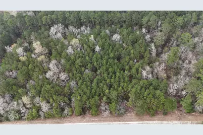 Tbd Baxter Road, Livingston, TX 77351 - Photo 13