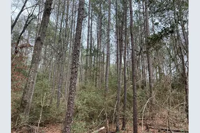 Tbd Baxter Road, Livingston, TX 77351 - Photo 1