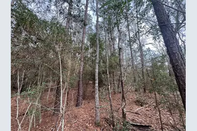 Tbd Baxter Road, Livingston, TX 77351 - Photo 5