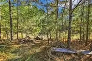 27684 Rio Blanco Dr, Splendora, TX 77372 - Photo 39