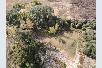 17.9 Ac Tbd Hwy 290 Bus, Hempstead, TX 77445 - Photo 5