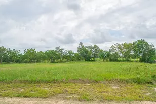 15 Acres Bernardo Rd, Cat Spring, TX 78933 - Photo 7