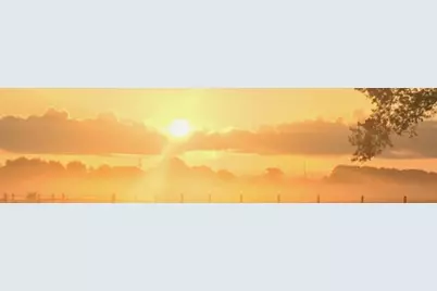 15 Acres Bernardo Road, Cat Spring, TX 78933 - Photo 5