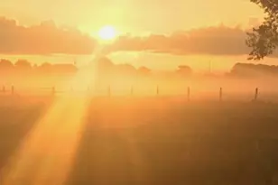 15 Acres Bernardo Rd, Cat Spring, TX 78933 - Photo 5