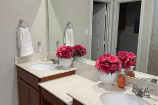 1617 Darwin Cedar Dr, Rosharon, TX 77583 - Photo 21