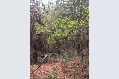 5701 Highway 190 Highway W, Point Blank, TX 77364 - Photo 25