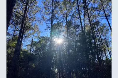 12945 Oak Barrel Road, Willis, TX 77378 - Photo 9