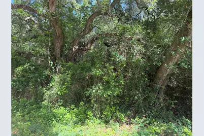 Lot 529 Grand Oak Street, Palacios, TX 77465 - Photo 1