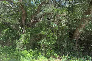 Lot 529 Grand Oak St, Palacios, TX 77465 - Photo 1