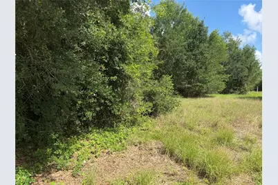 Lot 529 Grand Oak Street, Palacios, TX 77465 - Photo 3