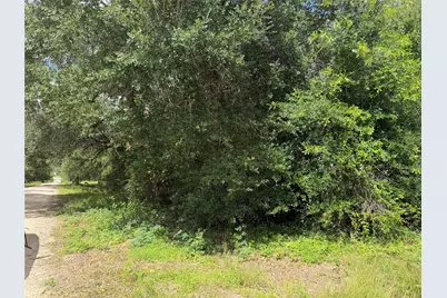 Lot 529 Grand Oak Street, Palacios, TX 77465 - Photo 7