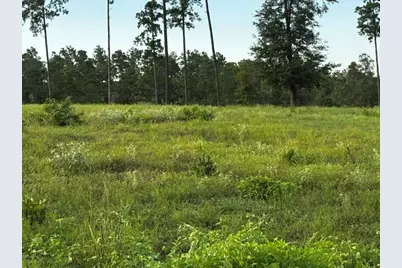 Tbd Anna Grace Lot 35, Livingston, TX 77351 - Photo 5