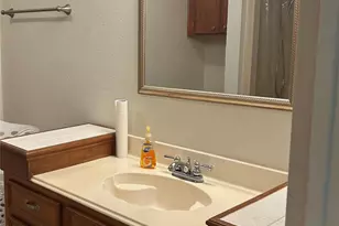 437 Gov Wood Dr, Point Blank, TX 77364 - Photo 17