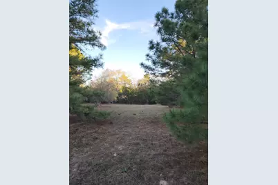 Tbd Fm-3283, Hallettsville, TX 77964 - Photo 5