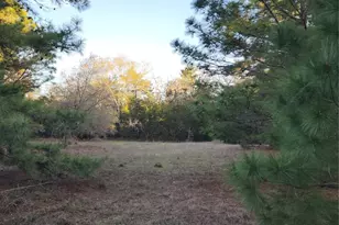 Tbd Fm-3283, Hallettsville, TX 77964 - Photo 5