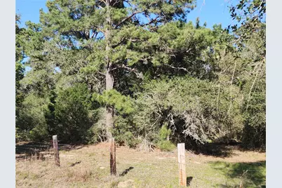 Tbd Fm-3283, Hallettsville, TX 77964 - Photo 3