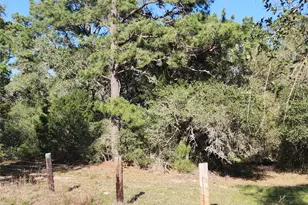 Tbd Fm-3283, Hallettsville, TX 77964 - Photo 3