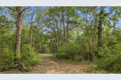 1165 Cr 213, Weimar, TX 78962 - Photo 7