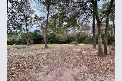 000 Mary Lane, Montgomery, TX 77316 - Photo 11