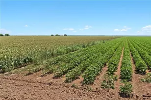 12485 Sandy Point Rd, Bryan, TX 77807 - Photo 9