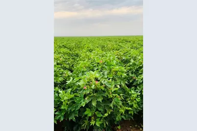 12485 Sandy Point Road, Bryan, TX 77807 - Photo 3