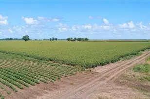 12485 Sandy Point Rd, Bryan, TX 77807 - Photo 1