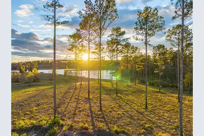 Lot 72 Western Road, Livingston, TX 77351 - Photo 7