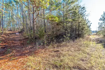 898 Taylor Lake Road, Livingston, TX 77351 - Photo 3